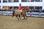 SBM_003767