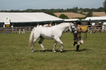 SBM_07629