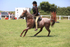 JPP_2959