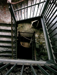 Forest Haven (Laurel, MD) | Askew Stairway