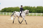 SBM_005935