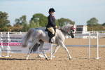 SBM_12167