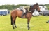 BPP_3284