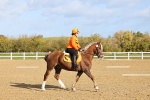SBM_000736