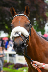 180523-Race 1-Regional-0205