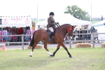 SBM_11171