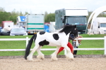SBM_05861