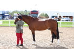 SBM_02499