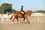 SBM_02211