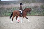 SBM_005894