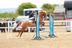 SBM_003880