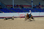 3HRodeo8-11-25_PRCASteer_07274_
