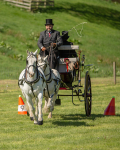 Attelage -661