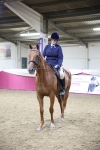 Class 108Ridden Retired Racehorse- Final Judging portfolio