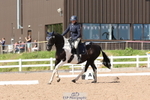 Saturday Quest Classes portfolio