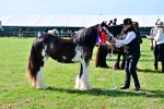 SBM_09484
