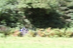 FOM_0715