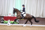 SBM_008117