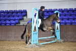 SBM_000646