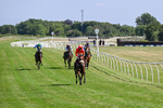 080726-Race 5-Sugarpiehoneybunch-7527