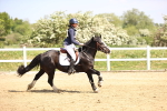 SBM_000852