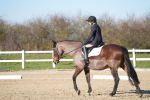 SBM_004308