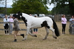 WJ6_8387