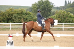 SBM_007496