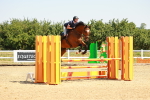 SBM_000631