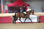 SBM_02015