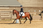 SBM_000371