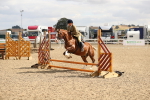SBM_04721