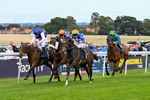 160926-Race 2-Northern Viola-9705