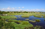 BSPB Poda Protected Area, Burgas Province, Bulgaria