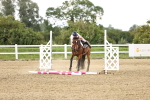 SBM_001643