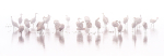 Sandhill Cranes In Spring Fog--Pano
