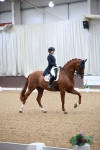 SBM_010187