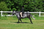 3E7A6297