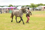 SBM_04058