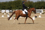 SBM_021892