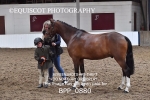 BPP_0880