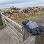 Lost glove #014