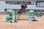 BPP_6033