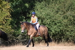 WJ6_8781