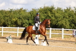 SBM_003640