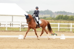 SBM_010095