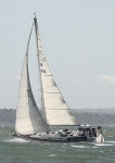 090501 GBR1098 WILD CHILD IMG_5796