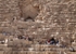 Cairo incl Pyramids 17jpg