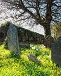 Antony Churchyard