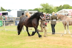 SBM_00641
